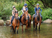 Stunning chestnut mare! Super safe and pretty / viewings available for bank holiday