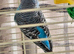 Breeding bonded pair of budgies