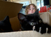 Kittens looking for there forever home