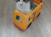 3 Beautiful kittens
