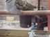 Beautiful Pair of Diamond Dove's For sale