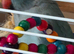 Indian ringneck