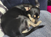 Rehoming my little girl