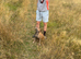 Terrier