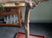 Java tree parrot stand