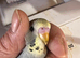 Baby budgies