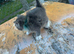 Boy available