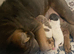Shar pei puppies