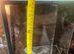 Small terrarium