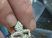 VIPER GECKO'S 1 MALE AND 2 FEMALES