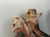 Chow chow x1 re available
