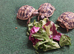Baby Hermann's Tortoises for Sale (SPECIAL OFFER FOR THIS WEEK ONLY)