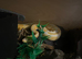 Royal Python for sale