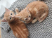 Two Orange boys