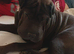 Female 6 months old