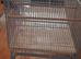 Brand new cage with divider never used.bought in error.£60