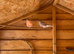 1 pair sib bullfinch