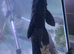 Large plec