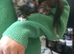 2 Litters of beautiful kittens