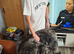 Puppies