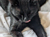 Meet B-Leigh - A Big Softie with a gentle soul