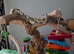 XXL PARROT JAVA TREE