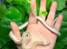 White Sided Black Rat Snake at Birmingham Reptiles