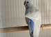 2 beautiful baby budgies