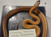 Royals plus other snakes 50% off everything f or black Friday
