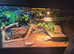 Male bearded dragon and setup
