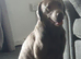 Lab