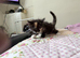 Looking for our forever home