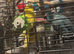 Parrots for sale
