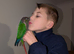 Conure
