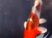 Koi