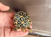Indian star tortoise cb24