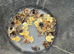 Cortunix Quail hatching eggs