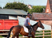 Very Smart Mare