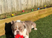 Looking for forever home