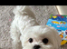 Beautiful lucky
