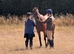Quality thoroughbred mare for retraining