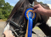 Very pretty mare