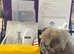 Pet Microchipping & Ultrasound