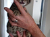 Mixed bred kitten