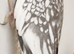 Breeding pair of cockatiels