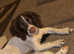 English springer spaniel for stud