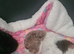 Girl cockerpoo f2
