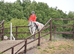 flying flicka