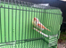 Mosaic canaries