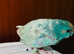 Baby blue get kekkreki for sale